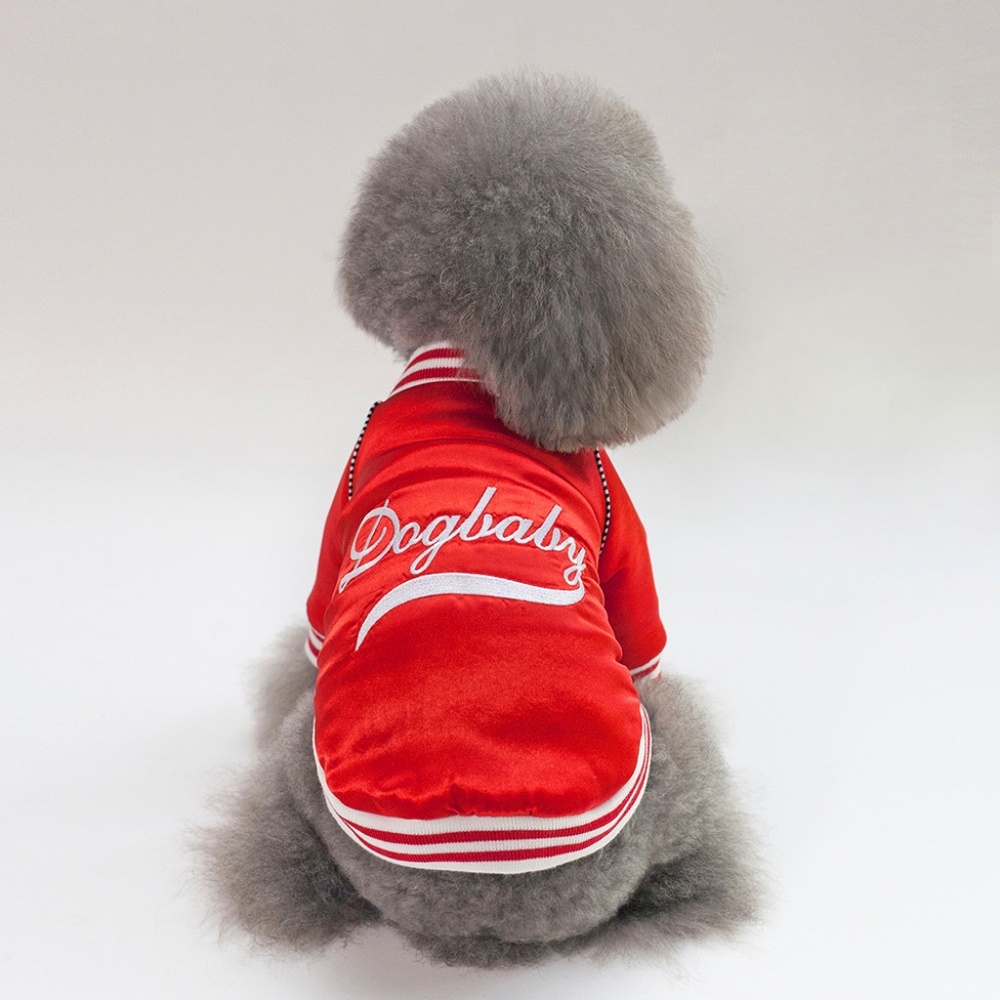 Dog Baby Dog Bomber jacket
